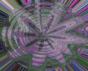 Life Explodes ~ Philip Brent