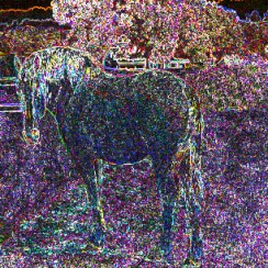 The Night Mare ~ Philip Brent