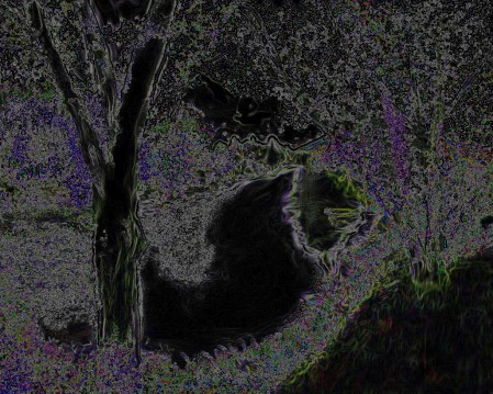 Night Encroaches ~ Philip Brent