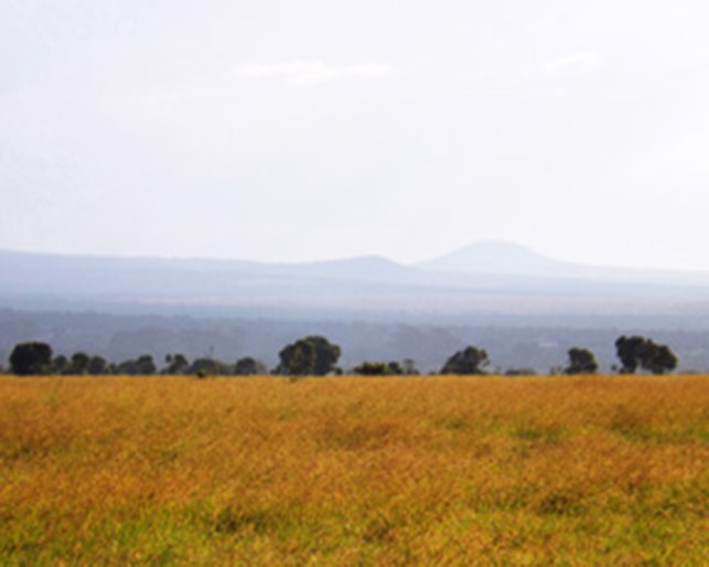 The Far Horizon ~ Philip Brent