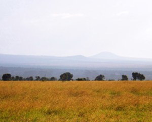 The Far Horizon ~ Philip Brent