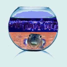 Living in a Fishbowl  Philip Brent