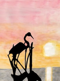 Shorebird ~ Brent Harris