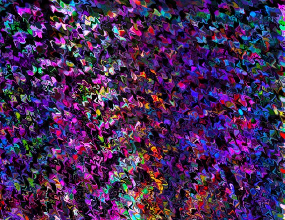 butterfly night