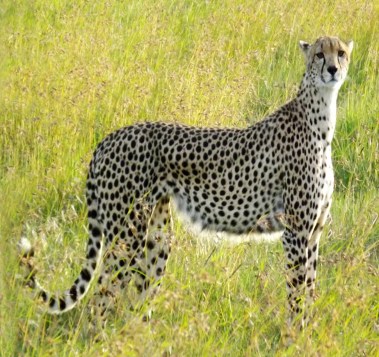 All She Surveys (2017_08_31 19_30_21 UTC)