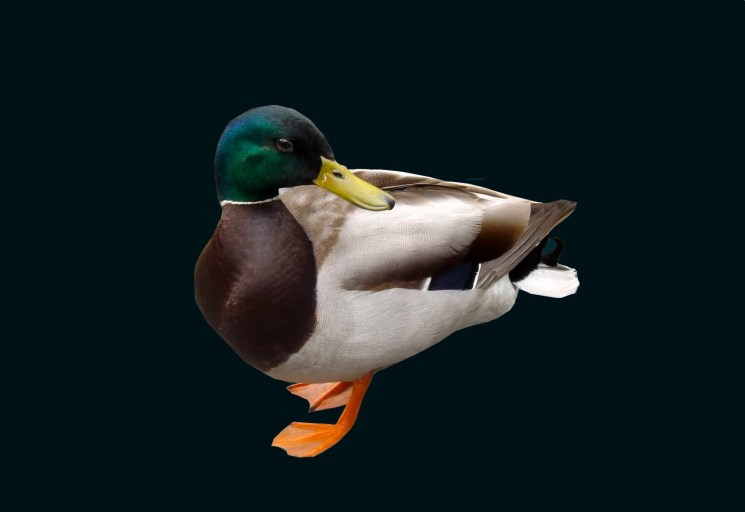 Are You Talking to Me ~ Philip Brent Harris