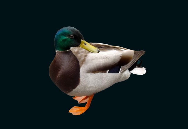 Are You Talking to Me ~ Philip Brent Harris