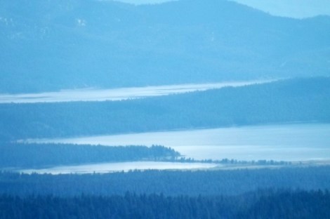 Into Blue ~ Philip Brent Harris