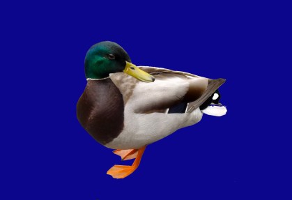 are you talking to me 2