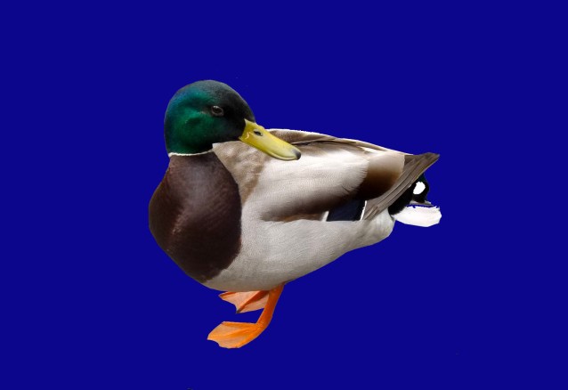 are you talking to me 2