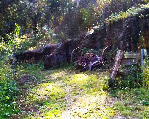 Shadows of the Past ~ Philip Brent Harris