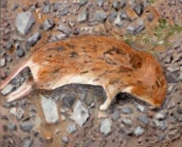 Memento Mori ~ Philip Brent Harris