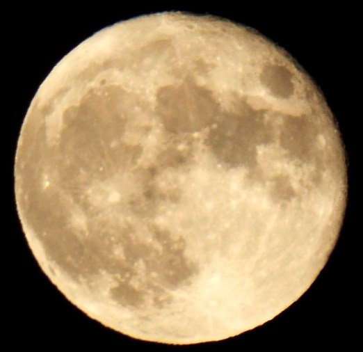 Harvest Moon ~ Philip Brent Harris