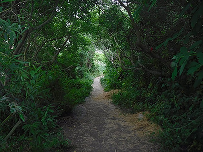 Follow the Path ~ Philip Brent Harris