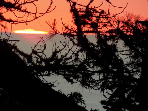 Fried Egg on the Ocean ~ Philip Brent Harris