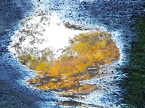 Water Feature Too ~ Philip Brent Harris